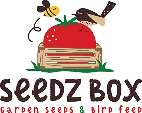 Seedzbox Mezcla Premium Semillas y Frutas para agapornis, ninfas y Loros. Comida equilibrada –con plátano, Pipas de Calabaza, Cacahuetes y Avena Saludable. Aceites y Fibra. Bolsa 2kg
