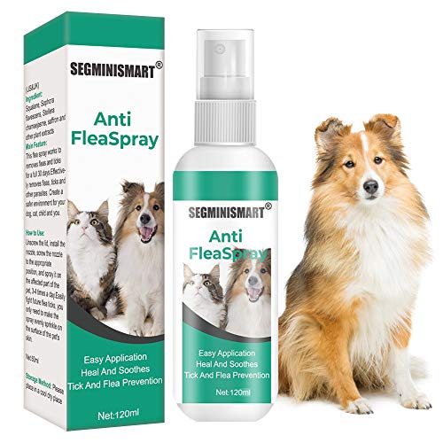 SEGMINISMART Flea Spray,Pulgas Spray,Anti Pulgas,Spray de protección contra pulgas, Pray Repelente de pulgas de Ingredientes Naturales para Perros Pulgas Garrapatas