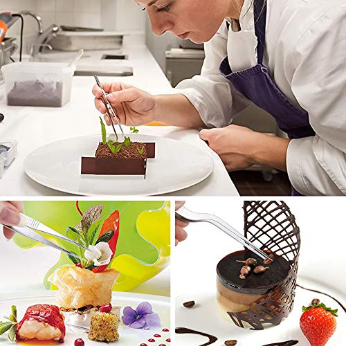 SelfTek Pinzas de Cocina de Acero Inoxidable de 5 Piezas Pinzas de precisión con Puntas dentadas, cucharas de Dibujo culinario y Juego de cuñas de Placas de plástico de 6 Piezas para Decorar Platos