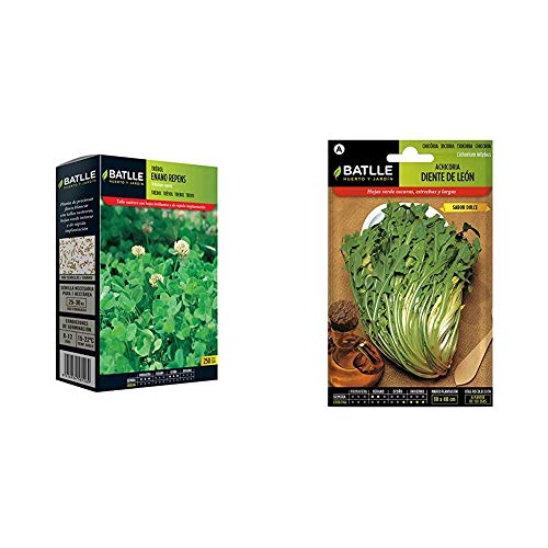 Semillas de Césped - Trebol Blanco Enano Repens 250g - Batlle + Hortícolas - Achicoria Diente de León - Batlle