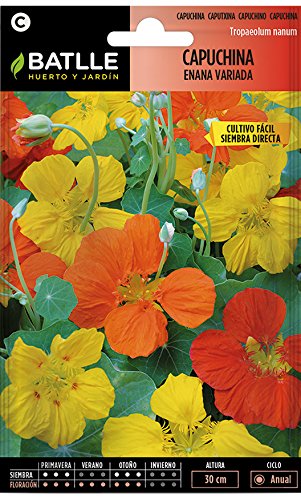 Semillas de Flores - Capuchina enana variada - Batlle