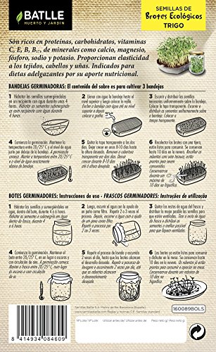 Semillas Ecológicas Brotes - Brotes ecológicos de Trigo - Batlle