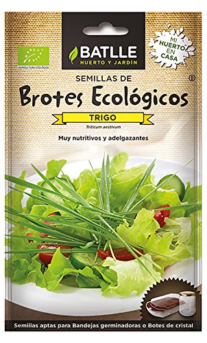 Semillas Ecológicas Brotes - Brotes ecológicos de Trigo - Batlle