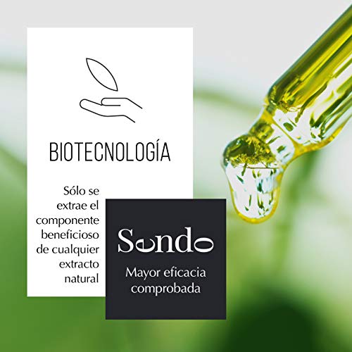 Sendo Champú Anti Frizz Control para el cabello con Extracto Biotecnológico de Tomate, Extracto Biológico de Avena y Extracto de Vainilla - Controla el Cabello Encrespado - 250 ML -
