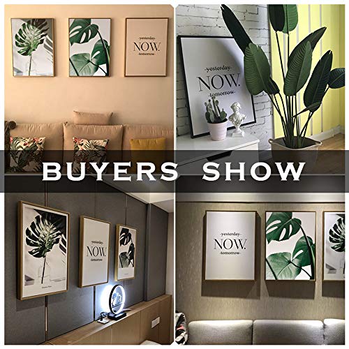 Set de 3 Laminas Decorativas pared Salon Hojas Verdes y Citas y Cuadros Hojas Tropicales Decoración Lienzo pared Dormitorio Cuadro Impresión PTGL002-M