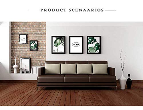 Set de 3 Laminas Decorativas pared Salon Hojas Verdes y Citas y Cuadros Hojas Tropicales Decoración Lienzo pared Dormitorio Cuadro Impresión PTGL002-M