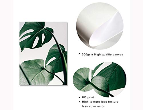 Set de 3 Laminas Decorativas pared Salon Hojas Verdes y Citas y Cuadros Hojas Tropicales Decoración Lienzo pared Dormitorio Cuadro Impresión PTGL002-M