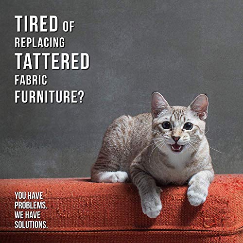 SHINY PET Tijeras De Uñas para Gato - El Mejor Kit De Cortaúñas para Mascota Casero - Cortador Uñas Profesional para Pequeño Perro Pájaro Conejito Cachorros Gatitos Huron - Guía En Libro Electrónico