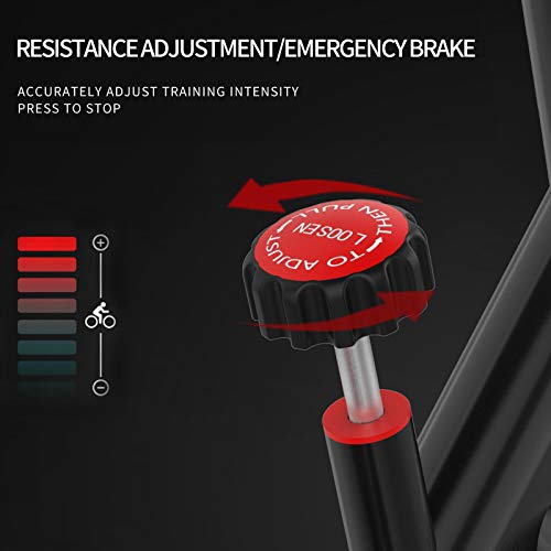 SHUOQI Bicicleta estáticas Para fitness, Bici de Spinning, Calidad profesional, Rueda de inercia bidireccional,Transmisión por cadena fija,Asiento ajustable, Pantalla LCD