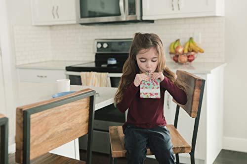 Simple Modern Joey Bolsitas de Alimento Reutilizables Para Bebés y Niños con Doble Cremallera Bolsas de Comida Paquete de 10 bolsas de 150ml Recargables Congelables y Aptos para Lavavajillas Surtido 2