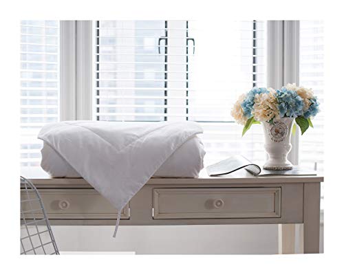 Since Silk Edredón Relleno de Seda, 100% Seda de Morera Edredón para Otoño Invierno, Hipoalergénico Suave y Sedoso Edredones de Seda - Double (200 * 200cm) 9 TOG