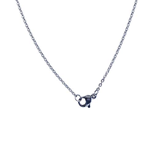 Sincerleyforyou – Collar de acero inoxidable con nombre personalizado para hermana especial – Cadena de 18 pulgadas regalo de cumpleaños