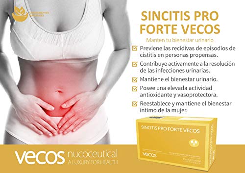 Sincitis Pro Forte para la salud del tracto urinario – Suplemento de arándano rojo (140 mg PAC), granada y probióticos recomendado en procesos de infección de orina y cistitis – 30 caps – 100% Vegano