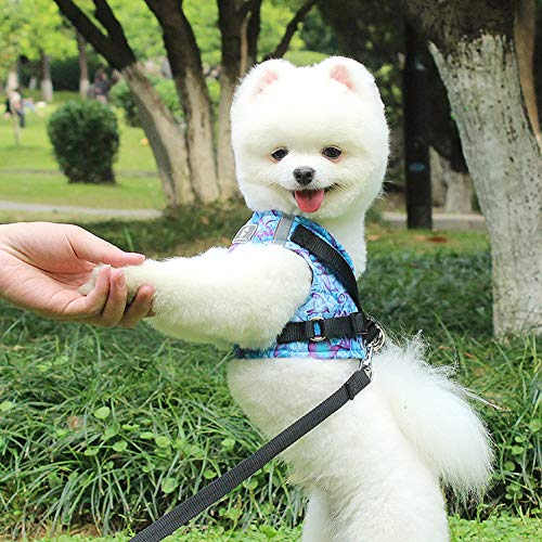 smalllee_Lucky_Store Peces Tropicales arnés con Correa para Perros pequeños y Gatos,Reflectante Ajustable Anti tirones no se escapen,fácil de Poner Chaleco para Cachorros,Azul,M