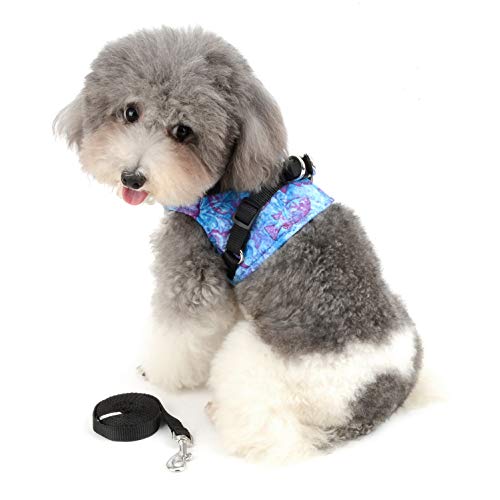 smalllee_Lucky_Store Peces Tropicales arnés con Correa para Perros pequeños y Gatos,Reflectante Ajustable Anti tirones no se escapen,fácil de Poner Chaleco para Cachorros,Azul,M