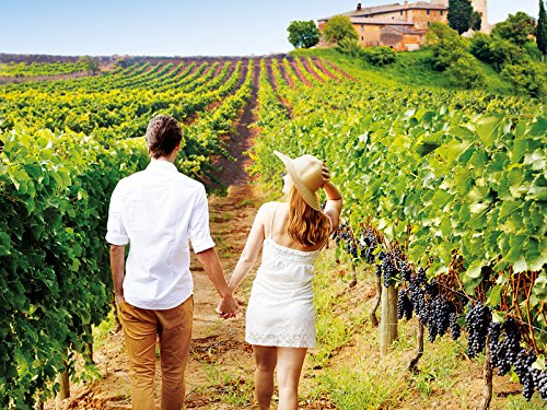 Smartbox DAKOTABOX - Caja Regalo - ESCAPADA Entre VIÑEDOS - 460 hoteles enoturísticos en Las Mejores D.O. de España y Francia