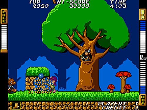 SNK 40th Anniversary Collection [Importación francesa]