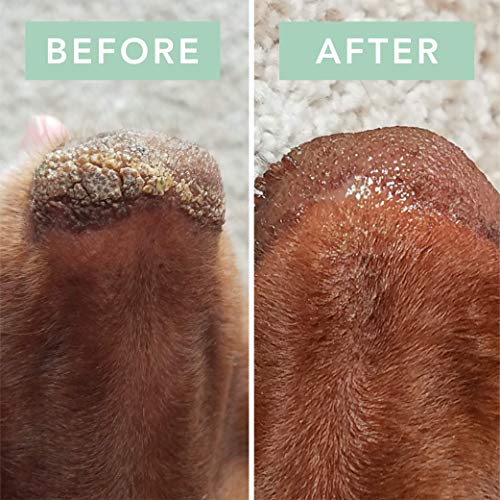 Snout Soother – Compañía de perro natural con capucha seca agrietada y crujiente perro Nariz Remedio para perros secos narices 2 onzas lata