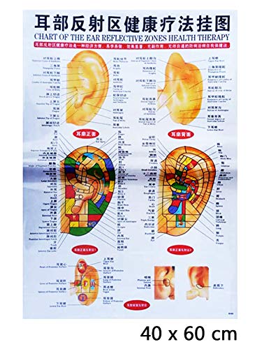 Sonda de Doble Cabeza y Punta para Puntos en Oreja y Cuerpo Acupuntura Regalo la Oreja de Bolsillo y Bolsa, Shiatsu Therapy Shiatsu Masajeador Ear Acupoint Probe Painless Acupuncture Pen Conjunto de 2