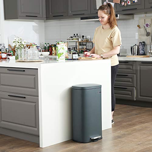 SONGMICS Basurero de Cocina de 30L, Basurero de Reciclaje con Pedales, Cubo Interior de Plástico, Tapa con Bisagras, Cierre Suave, a Prueba de Olores e Higiénico, Gris Ahumado LTB03GS