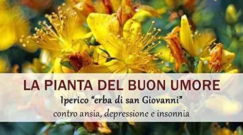 SOTYA HIPERICO 500 mg 200 comprimidos pack 100+100, Hierba de San Juan, mejora tu estado de ánimo,anti estrés, astenia primaveral, controla la ansiedad, ayuda en los cambios estacionales, relajante