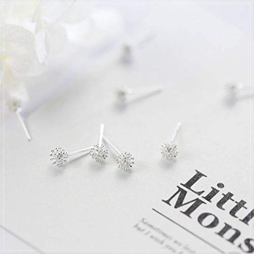 S&RL Pendientes de Plata S925 Pendientes de Diente de León Dulce Estilo Japonés Bosque de Mujer Bolas de Estilo Joyería de Oreja Dulceun par, Plata 925