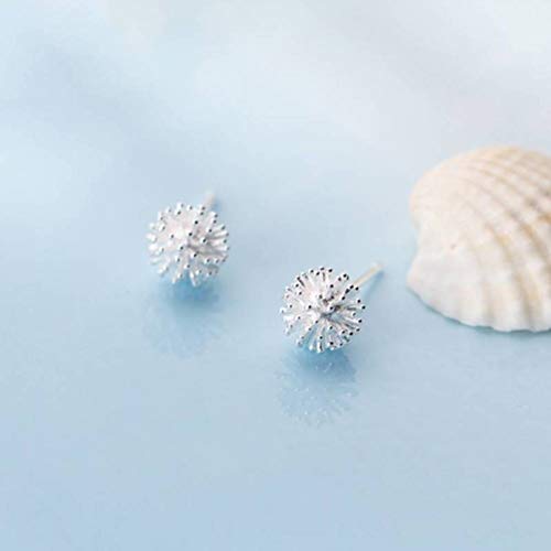 S&RL S925 Pendientes de Plata Pendientes Pequeños Y Frescos de Mujer de Estilo Japonés Y Coreano con Forma de Bola de Diente de León, Pendientes de Flores, Joyería Femeninaun par, Plata 925