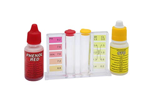 Starter Kit Brom para tratamiento de agua y mantenimiento de spa, hidromasaje y pequeñas piscinas a base de bromo, en pastillas de 20 g-