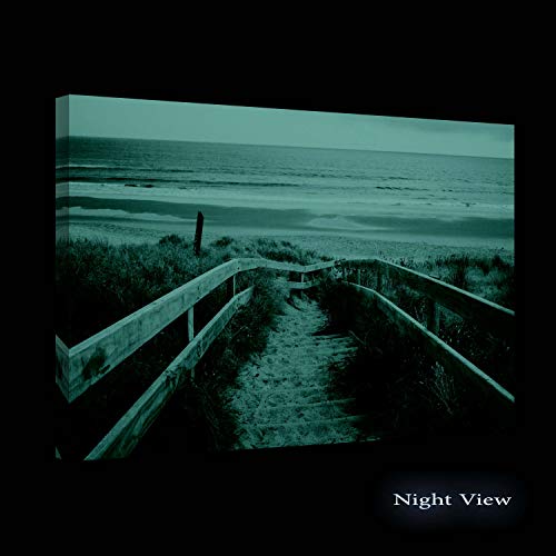 Startonight Cuadro Moderno en Lienzo Arce del Otoño, Pintura Naturaleza para Salon Decoración 60 x 90 cm