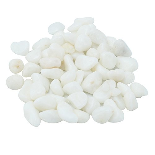 styleinside® 1x Blanco Piedra Decorativas para Jardín Miniatura Maceta Terrario