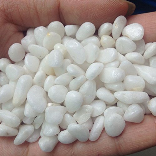 styleinside® 1x Blanco Piedra Decorativas para Jardín Miniatura Maceta Terrario