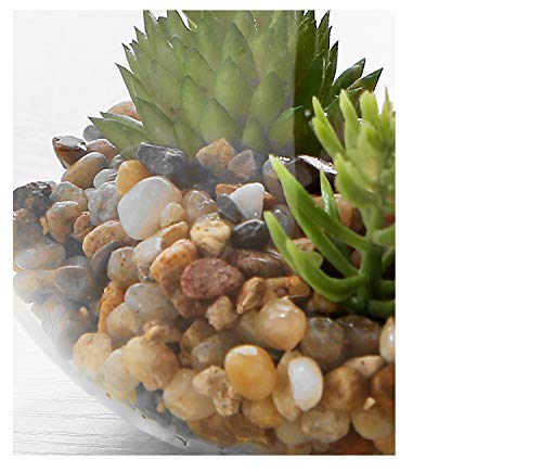 Suculentas y Cactus Artificiales Naturales,Interior Mini Plantas y flores artificiales Falsa Plástico Bonsái en Macetas,Cristal Terrario Maceteros Jarrones Decorativos para Dormitorio y Sala de Estar