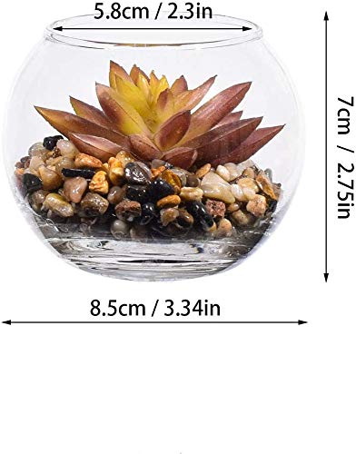 Suculentas y Cactus Artificiales Naturales,Interior Mini Plantas y flores artificiales Falsa Plástico Bonsái en Macetas,Cristal Terrario Maceteros Jarrones Decorativos para Dormitorio y Sala de Estar