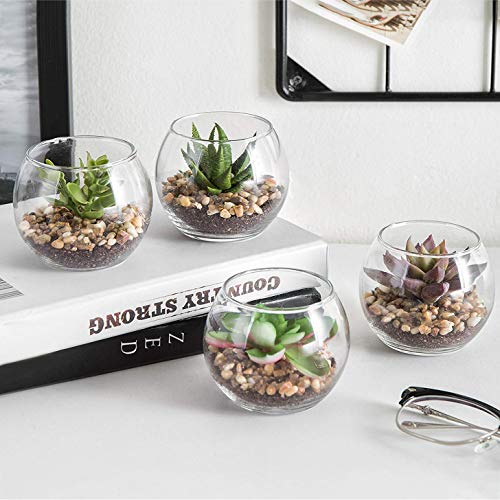 Suculentas y Cactus Artificiales Naturales,Interior Mini Plantas y flores artificiales Falsa Plástico Bonsái en Macetas,Cristal Terrario Maceteros Jarrones Decorativos para Dormitorio y Sala de Estar