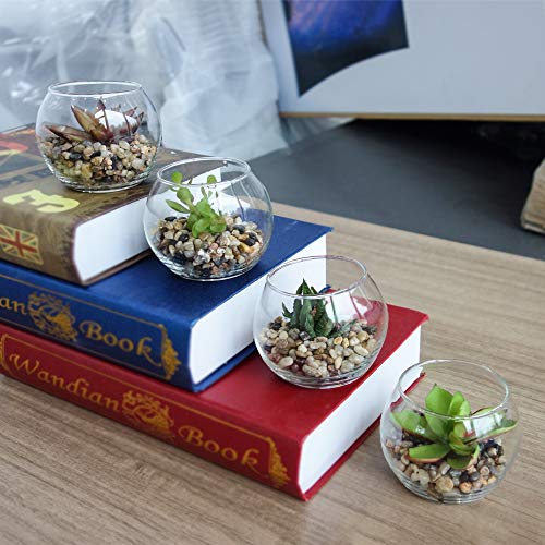 Suculentas y Cactus Artificiales Naturales,Interior Mini Plantas y flores artificiales Falsa Plástico Bonsái en Macetas,Cristal Terrario Maceteros Jarrones Decorativos para Dormitorio y Sala de Estar