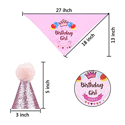 Sunwuun Perro Cumpleaños Bandana Sombrero Banner Set, Mascota Feliz Cumpleaños Adorable Sombrero Banner Pañuelos Corbatas para Niños y Niñas (Pink)