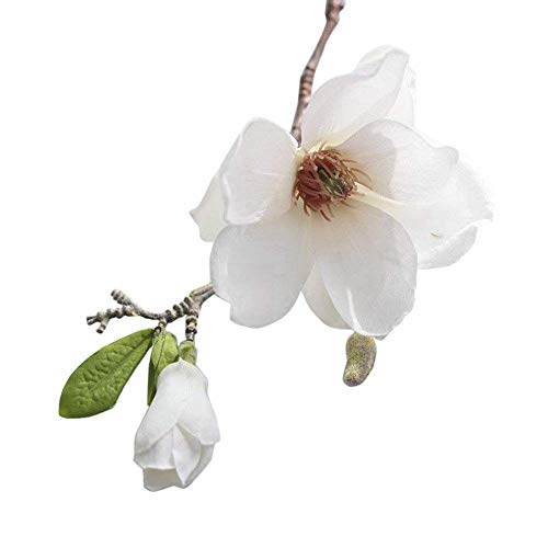 Superb Artificial flores de seda (sin jarrón) Magnolia flores Real Touch flores decorativas para boda rosa/blanco blanco