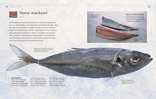 Sushi: Taste and Technique