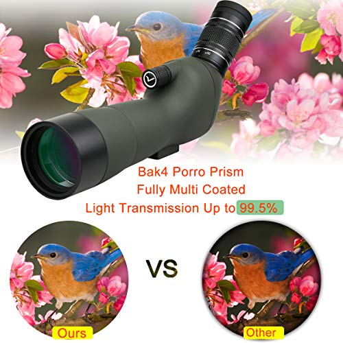 Svbony SV29 Telescopio Terrestre 20-60x60 con Ocular Grande Monocular Impermeable Lente FMC BAk-4 Prism Telescopio Terrestre para Tiro al Blanco Tiro con Arco Observación de Aves