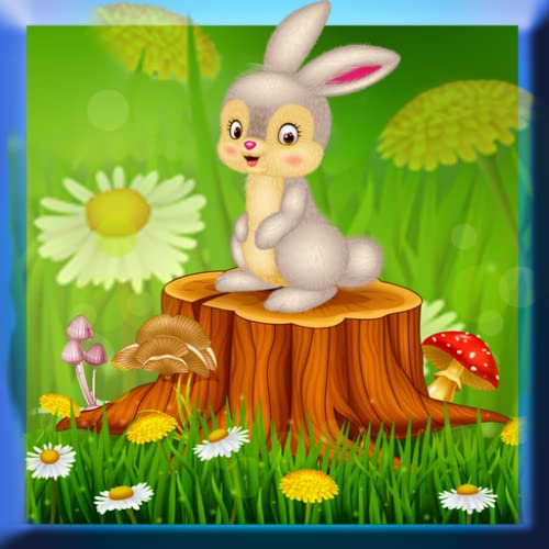 Sweet Bunny Coloring Book