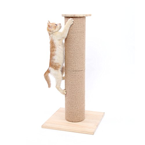 SWEET DEVIL Árbol Rascador para Gatos con Poste Rascadore Estabilidad con Columna de Sisal Natural,Grande,65 cm de Altura