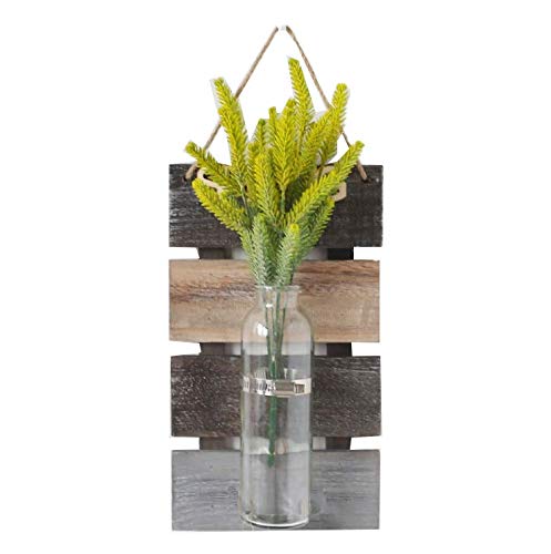 SZETOSY - Jarrón hidropónico colgante para decoración de pared con tablero de madera, para colgar plantas, flores, para decoración del hogar, jardín, sala de estar, cafetería, 30 x 17 cm