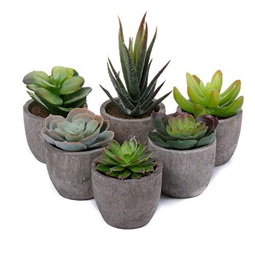 T4U Artificial Serie de Plantas Suculentas Hierba Decorativa de Plástico Colección 1, Paquete de 6