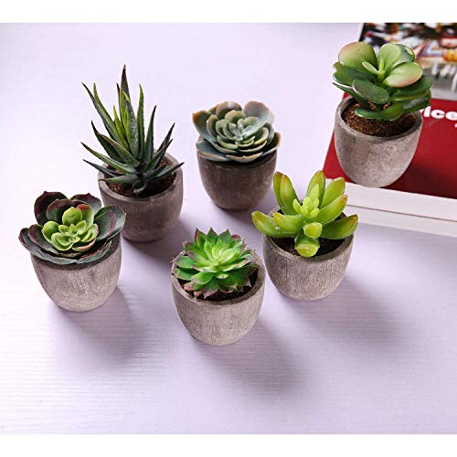 T4U Artificial Serie de Plantas Suculentas Hierba Decorativa de Plástico Colección 1, Paquete de 6