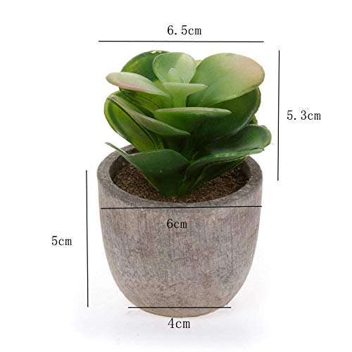 T4U Artificial Serie de Plantas Suculentas Hierba Decorativa de Plástico Colección 1, Paquete de 6