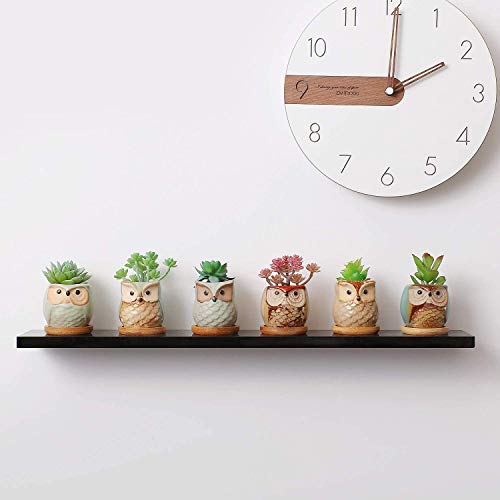 T4U Planta Maceta de Suculento 6CM Paquete de 6, Cactus Maceteros de Ventana Cajas Decoración para Mesa de Comedor Sala de Estar Oficina y Jardín Idea Regalo para Cumpleaños y Boda Navidad