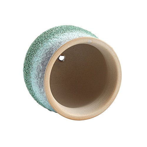 T4U Planta Maceta de Suculento con Bandeja de bambú Pancromático Cerámico Paquete de 3, Cactus Maceteros de Ventana Cajas Decoración para Mesa de Comedor Regalo para Cumpleaños Boda Navidad