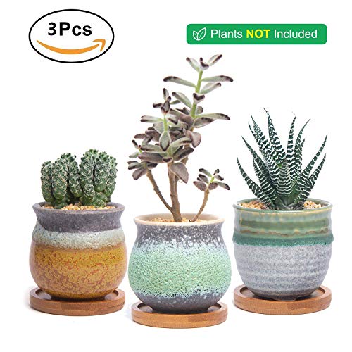 T4U Planta Maceta de Suculento con Bandeja de bambú Pancromático Cerámico Paquete de 3, Cactus Maceteros de Ventana Cajas Decoración para Mesa de Comedor Regalo para Cumpleaños Boda Navidad