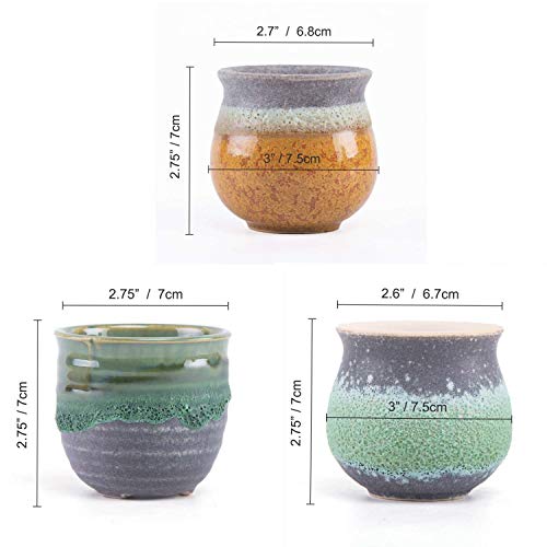 T4U Planta Maceta de Suculento con Bandeja de bambú Pancromático Cerámico Paquete de 3, Cactus Maceteros de Ventana Cajas Decoración para Mesa de Comedor Regalo para Cumpleaños Boda Navidad