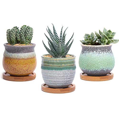 T4U Planta Maceta de Suculento con Bandeja de bambú Pancromático Cerámico Paquete de 3, Cactus Maceteros de Ventana Cajas Decoración para Mesa de Comedor Regalo para Cumpleaños Boda Navidad